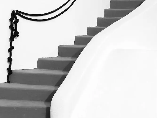 酒店 阿尔塔维斯塔套房酒店