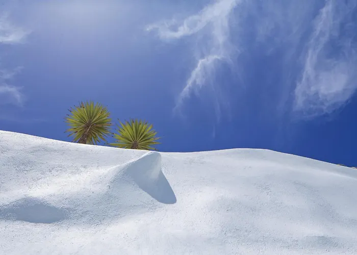 酒店 阿尔塔维斯塔套房酒店